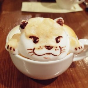 Meet your Posher, Annie